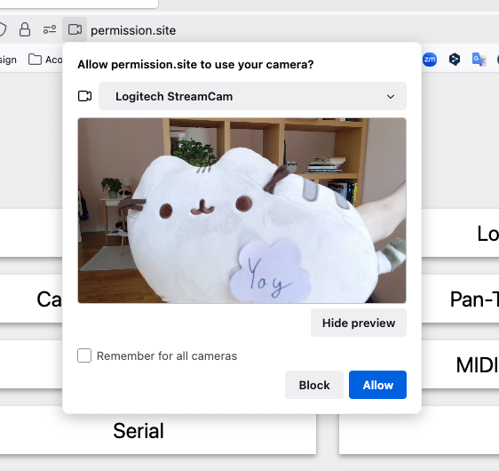 螢幕截圖：顯示權限對話框內的攝影機預覽